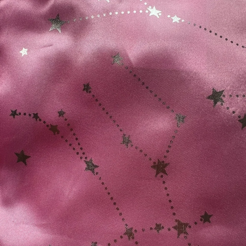 Pink and Silver Pet Costume